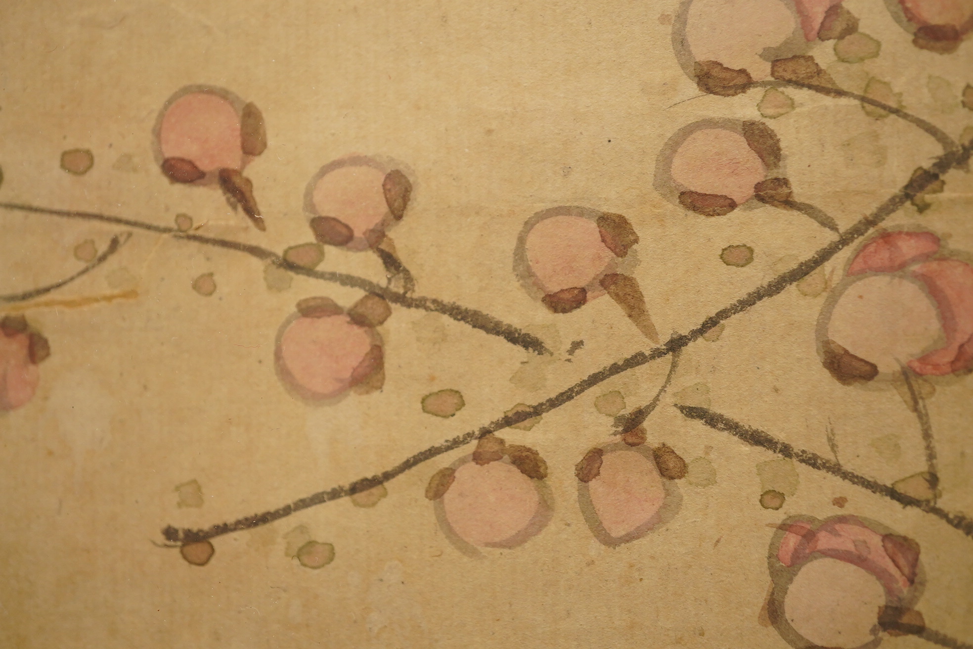 Chinese School , (18th/19th century), Phoenixes amid flowers, Ink and colour on paper; a pair